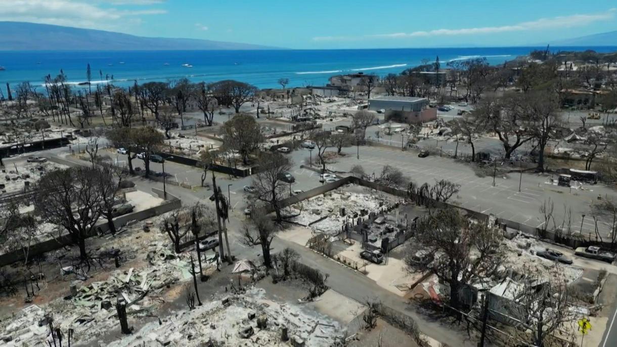 امریکہ، ہوائی کے جزیرے ماوئی کے جنگلات میں لگنے والی آگ سے ہلاکتوں کی تعداد  67 ہو گئی