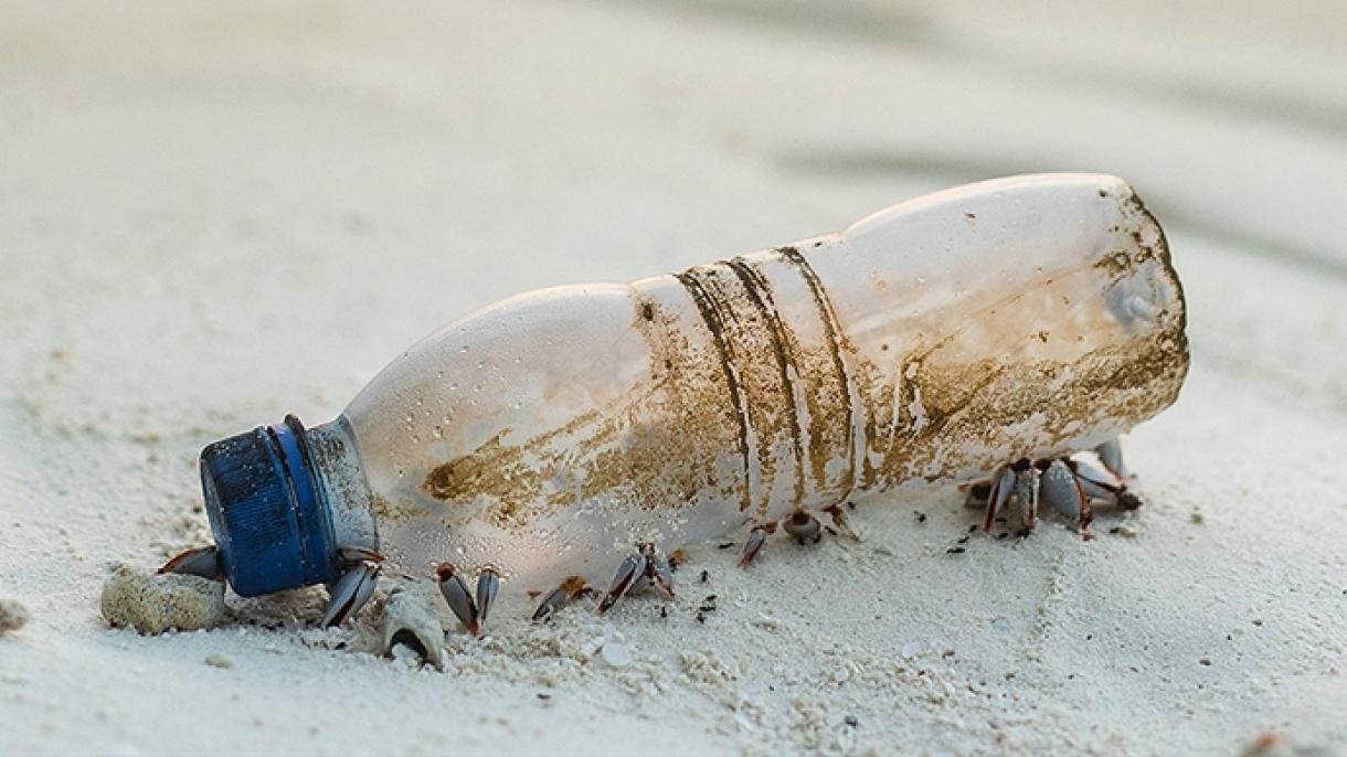 Mensaje en botella cruzó el océano Atlántico desde EEUU a Portugal