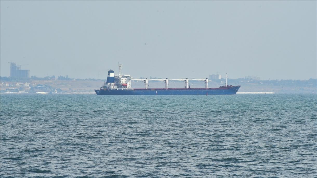 سازمان ملل از حرکت اولین کشتی حامل غلات از بندر اودسای اوکراین استقبال کرد