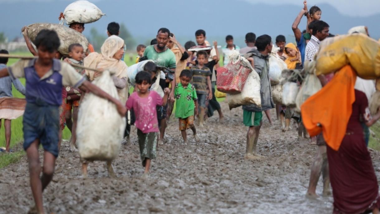 ONU adverte sobre catástrofe humanitária em Arakan
