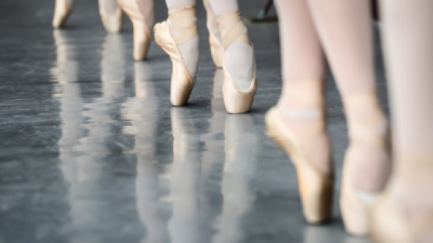Un ballet turc va former des jeunes danseurs en France