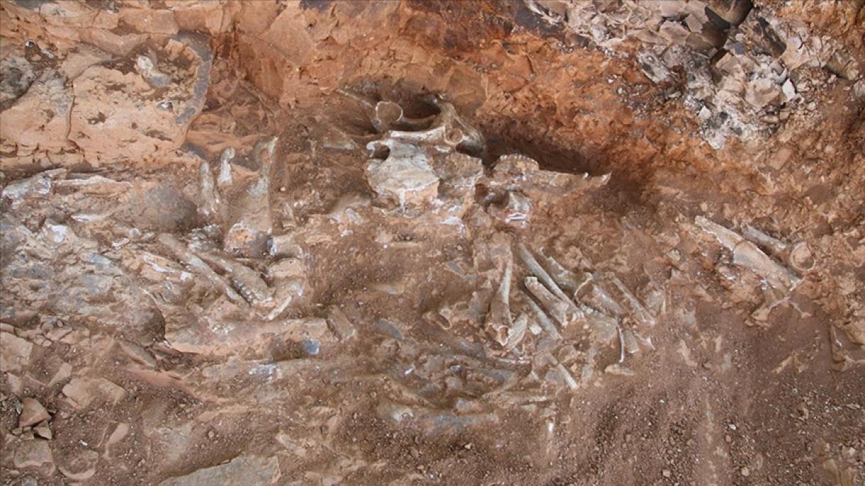 9 million yıl êlek yäşägän xaywannarnıñ qaldıqları