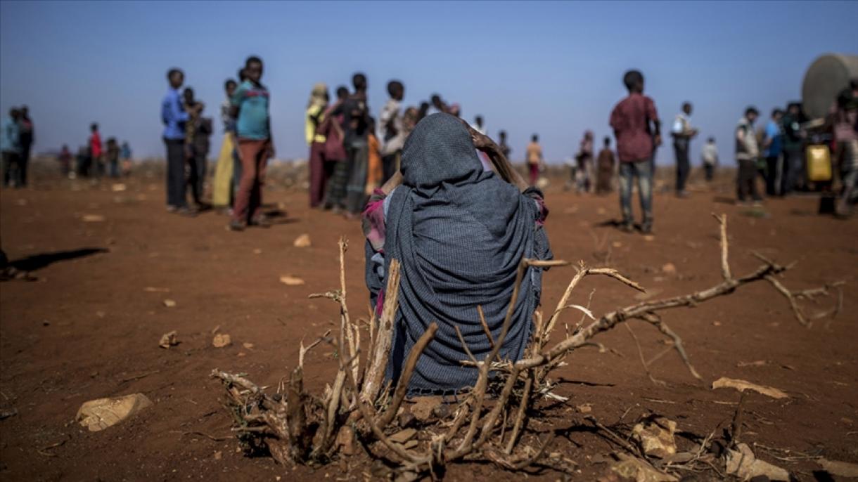 A szomáliai éhínségről jelentést adott ki a FAO