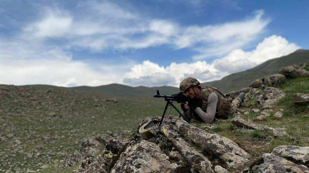 Ձիթենու ճյուղ գործողությամբ վնասազերծվել է 20 ահաբեկիչ