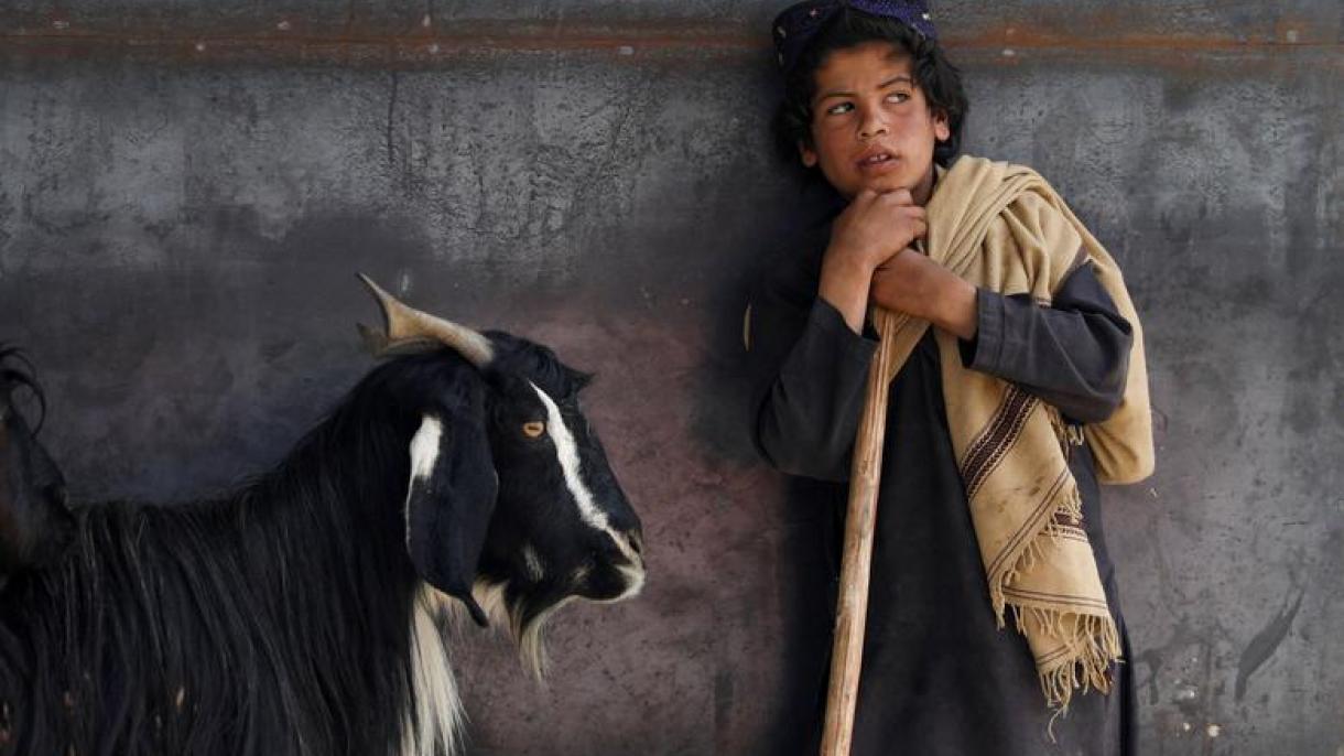 La festa del Sacrificio, Eid al-Adha