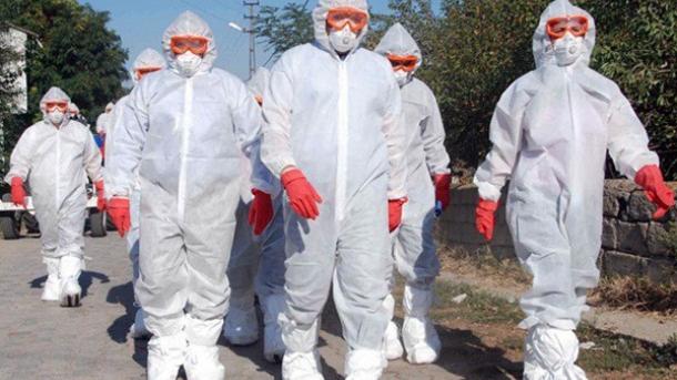Kina: Novi slučaj oboljenja ptičje gripe