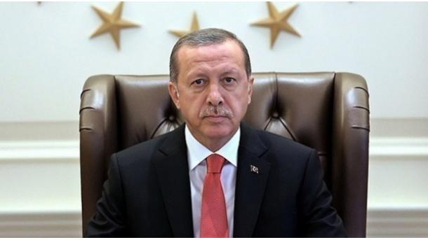 El presidente Erdogan volvió a Turquía