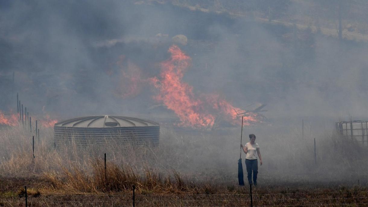 آسٹریلیا کی جنگلاتی آگ،زخمیوں کی تعداد 120 ہو گئی