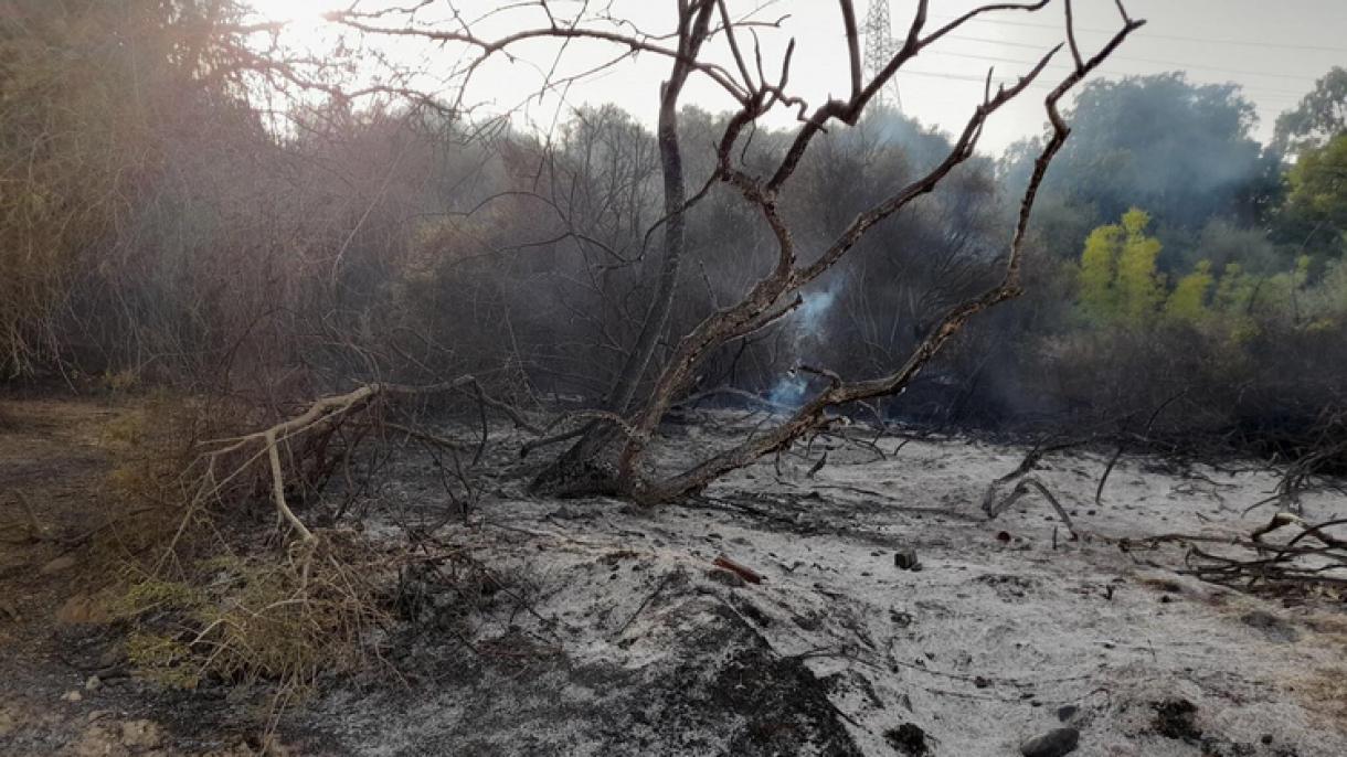 È salito a 31 morti il bilancio delle vittime degli incendi nel nord-est dell'Algeria