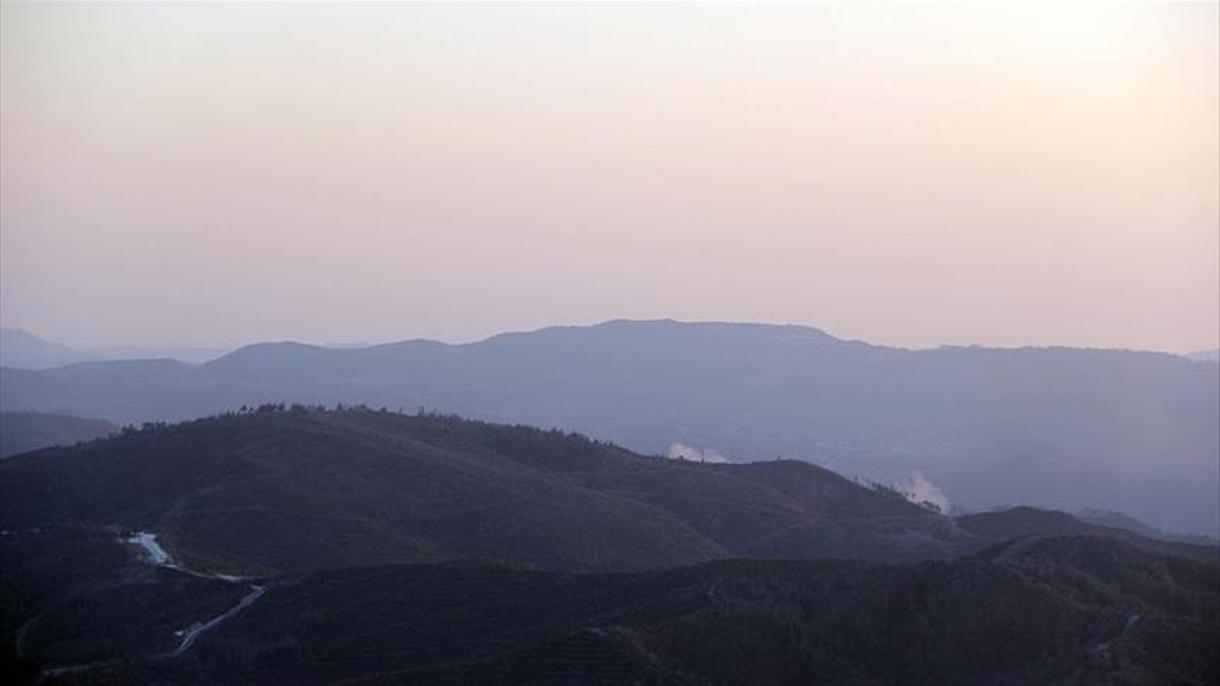 阿萨德力量攻击土库曼山