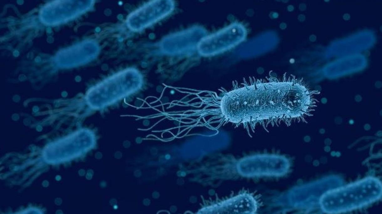 Halálos veszélyt jelentenek az antibiotikum-rezisztens baktériumok
