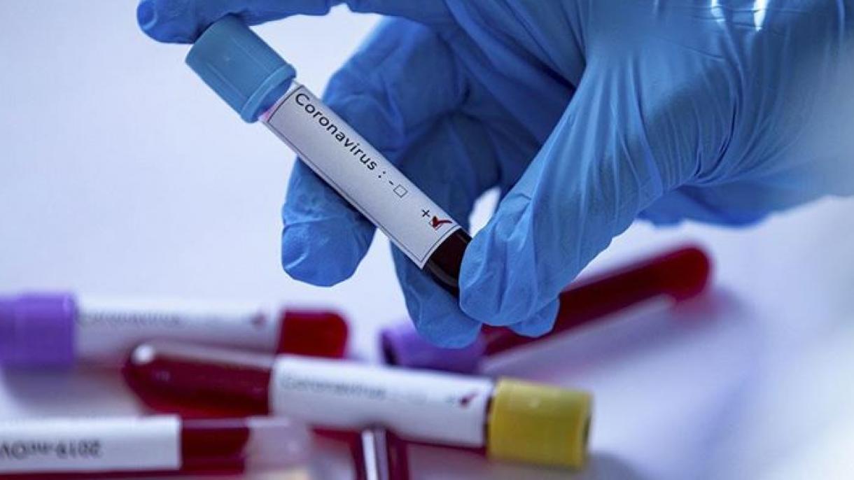 中国新冠病毒死亡病例升至3213例 非洲30国现确诊病例