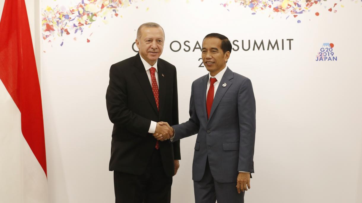 دیدار روسای جمهور ترکیه و اندونزی در حاشیه اجلاس گروه 20