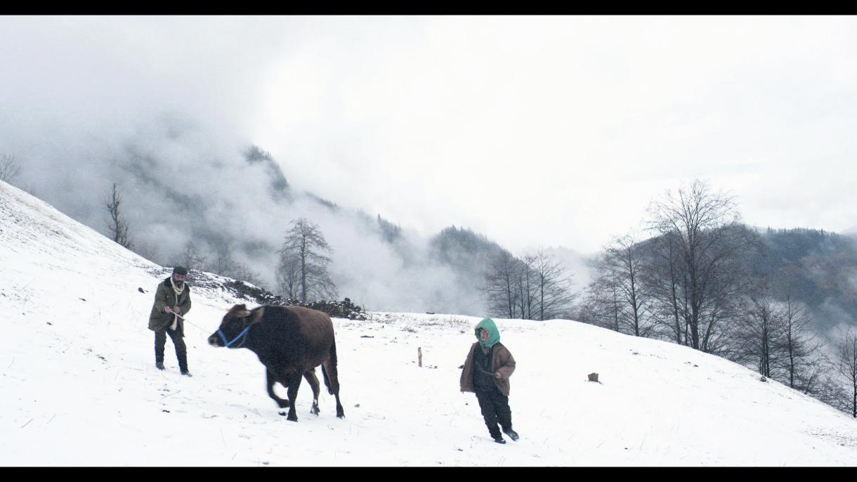 "Kalandar Sogugu" fitues i Oscarit të Azisë
