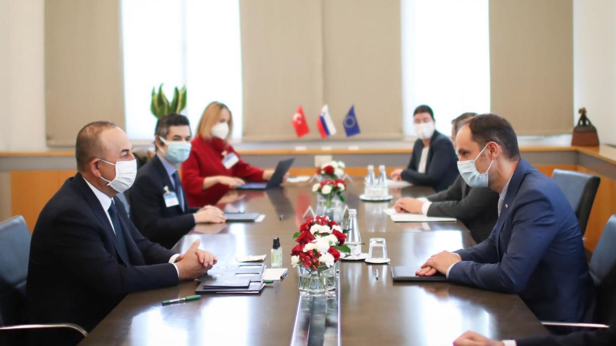 Dışişleri Bakanı Mevlüt Çavuşoğlu Slovenya Dışişleri Bakanı Anze Logar Görüşmeler.jpg