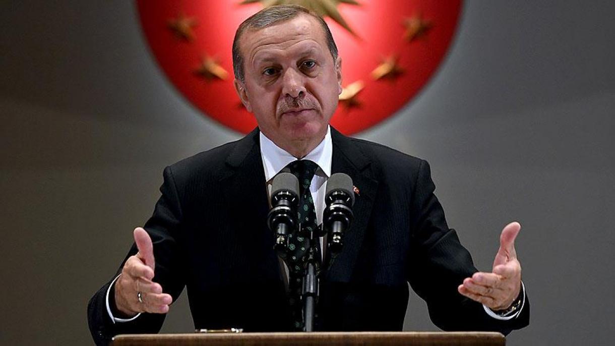 总统埃尔多昂：土耳其绝不会被分裂