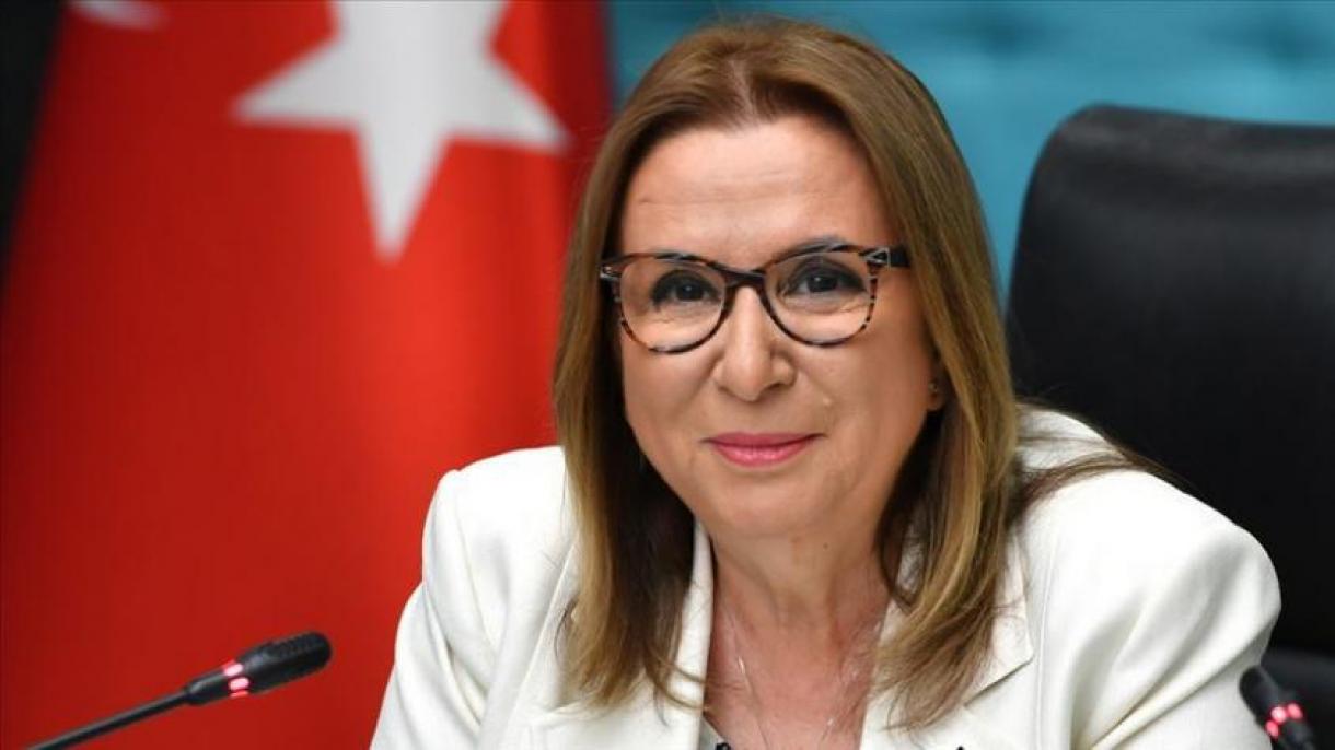 Ruhsar Pekcanla Böyük Britaniyanın ticarət naziri arasında telefon danışığı oldu