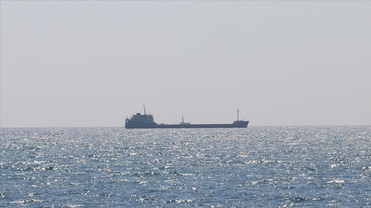 Taxılla yüklənmiş daha 2 gəmi Ukrayna limanından ayrılıb