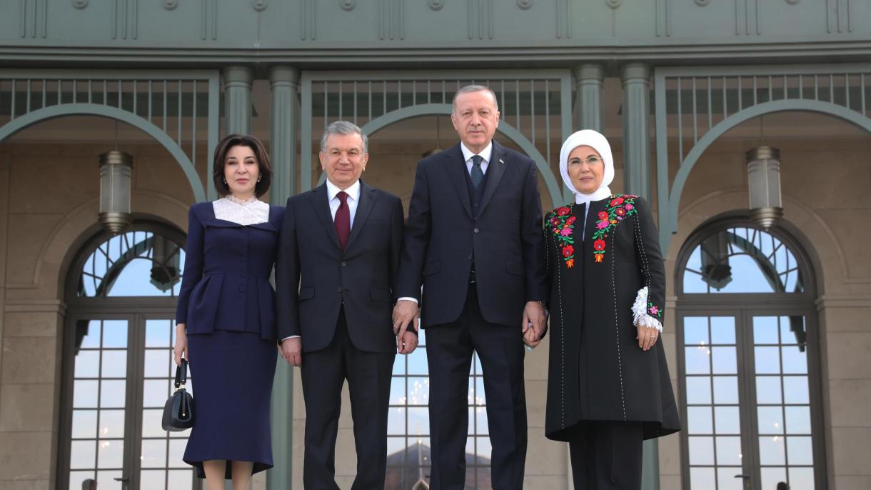 Эрдоган Мирзиёев менен жолукту