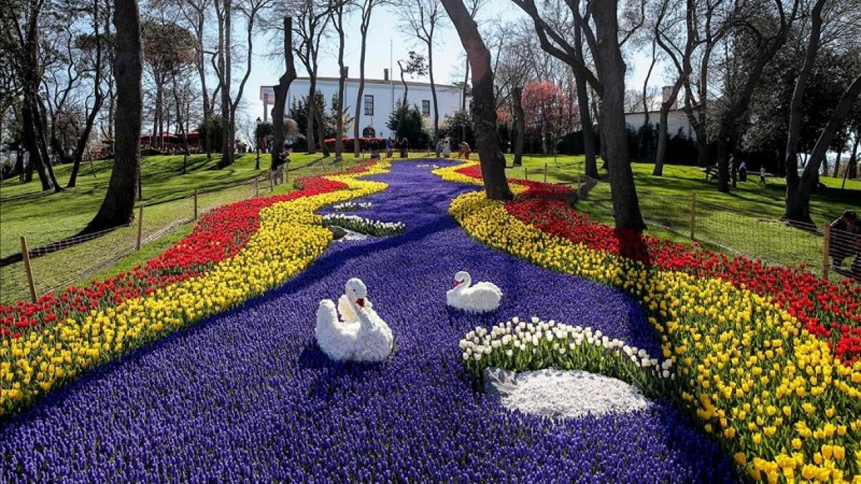 Megkezdődött a 13. isztambuli tulipánfesztivál