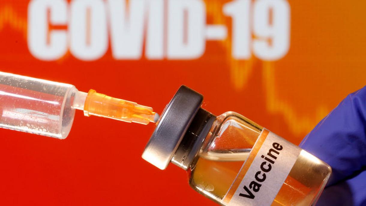 世卫组织称35种疫苗正在进行临床试验