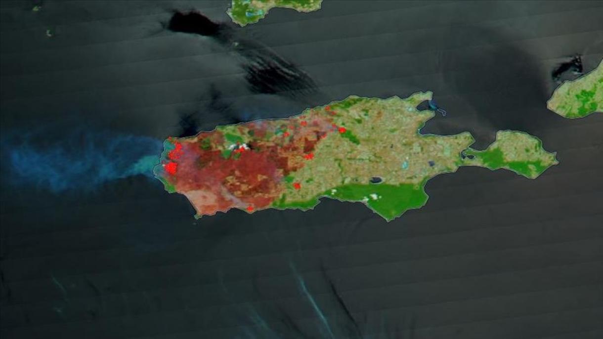Imágenes de la NASA muestran la devastación de un tercio de Isla Canguro, Australia