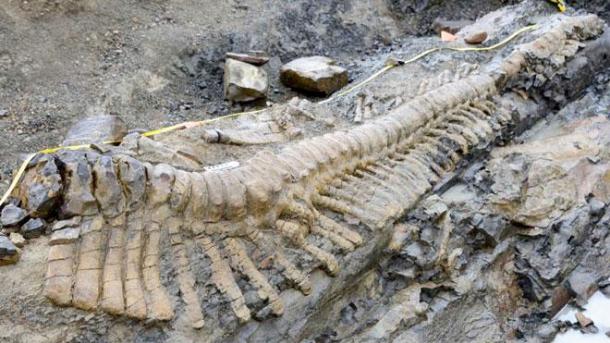 Encuentran mayor huella de un dinosaurio carnívoro en sur de Bolivia