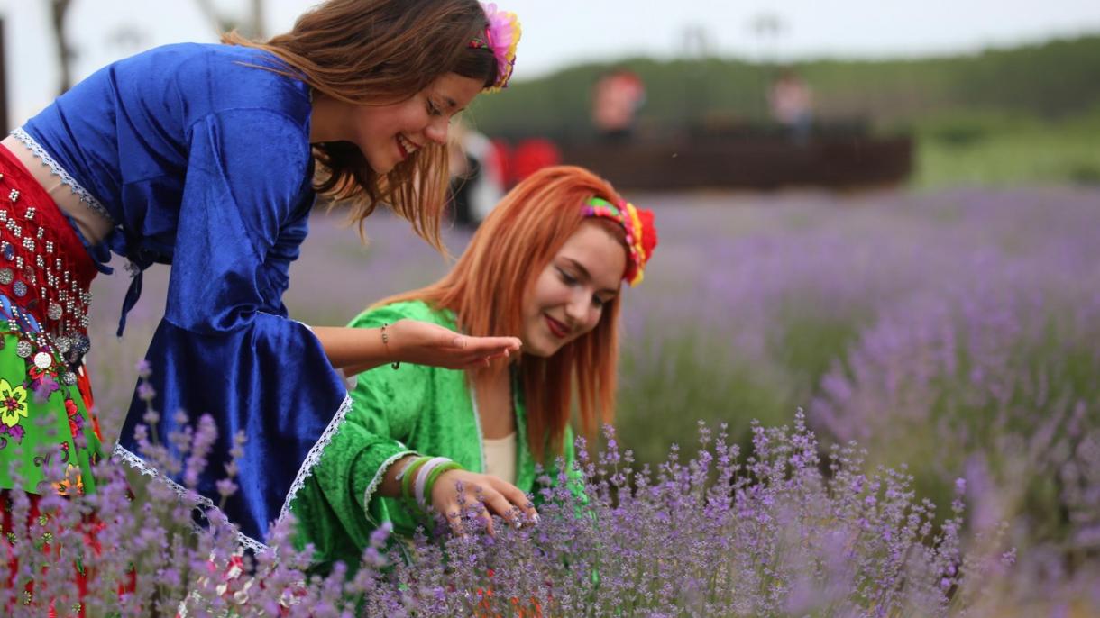 Festival lavande u Edirneu: Beg u bajkoviti svet