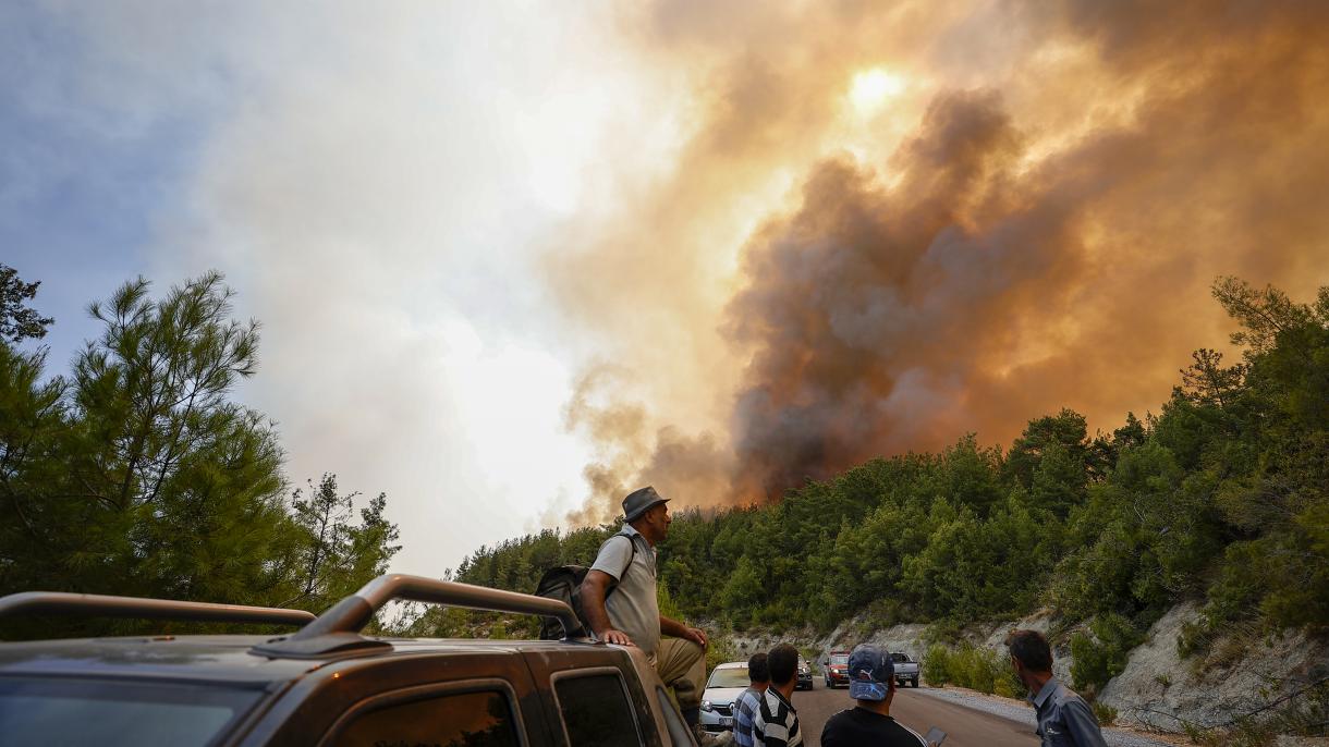 ترکی کے جنگلات میں لگی آگ پر مختلف ممالک کے یکجتی اور امداد کے پیغامات