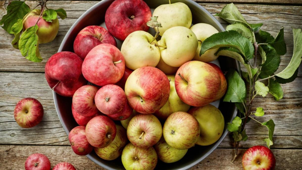 صادرات سیب ترکیه 65 درصد افزایش یافت