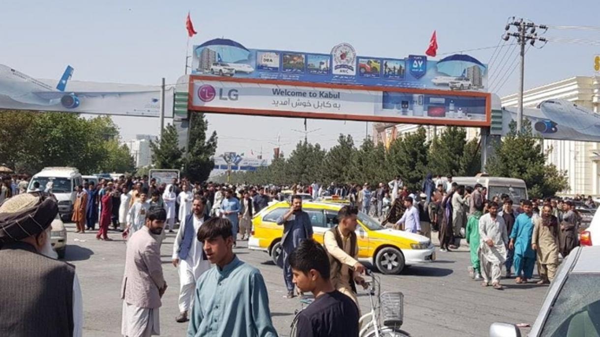 خبر فوری - پروازهای تورکیش ایرلاینز به افغانستان لغو شد