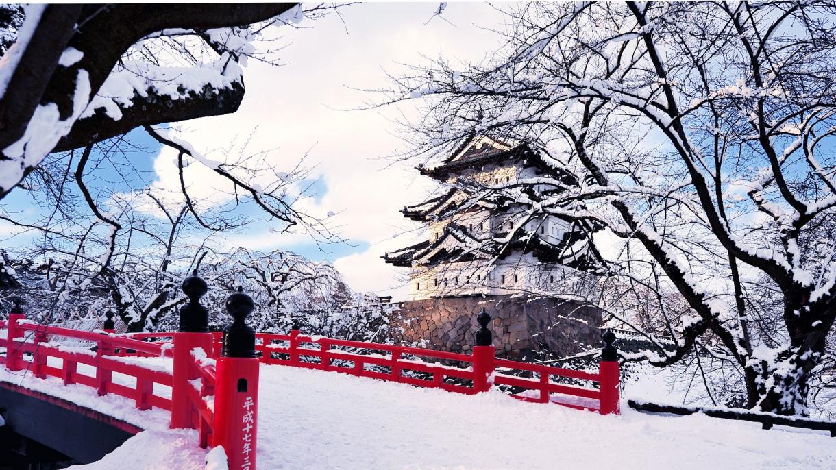 【日本】 都心で大雪