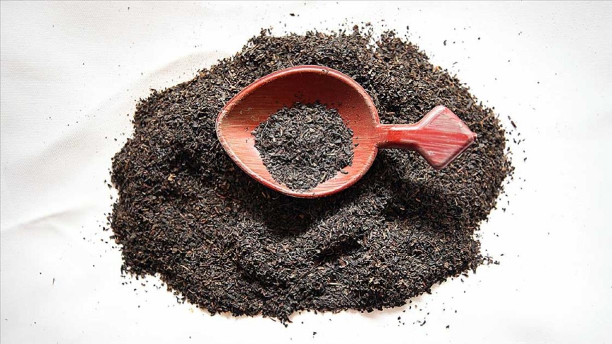Turquía exportó té por valor de 11,9 millones de dólares a 110 países en 8 meses