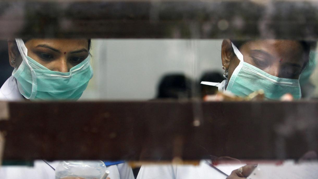 印度猪流感死亡人数升至377人