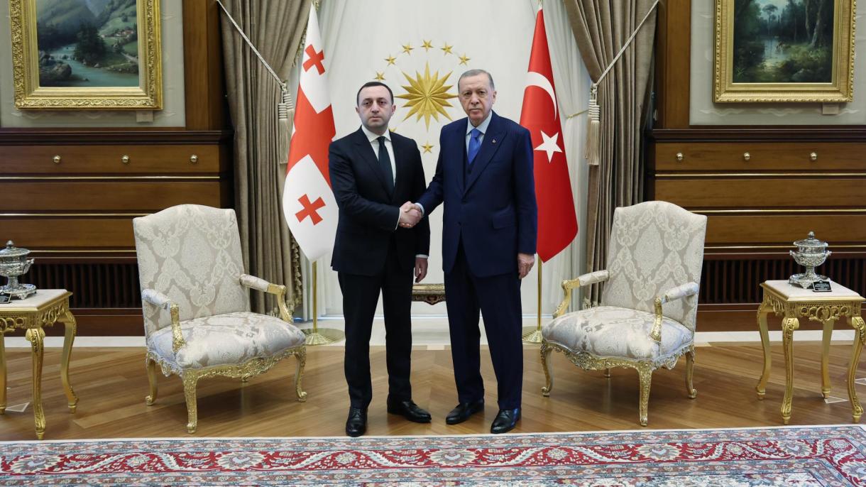 Эрдоган Гарибашвилини кабыл алды