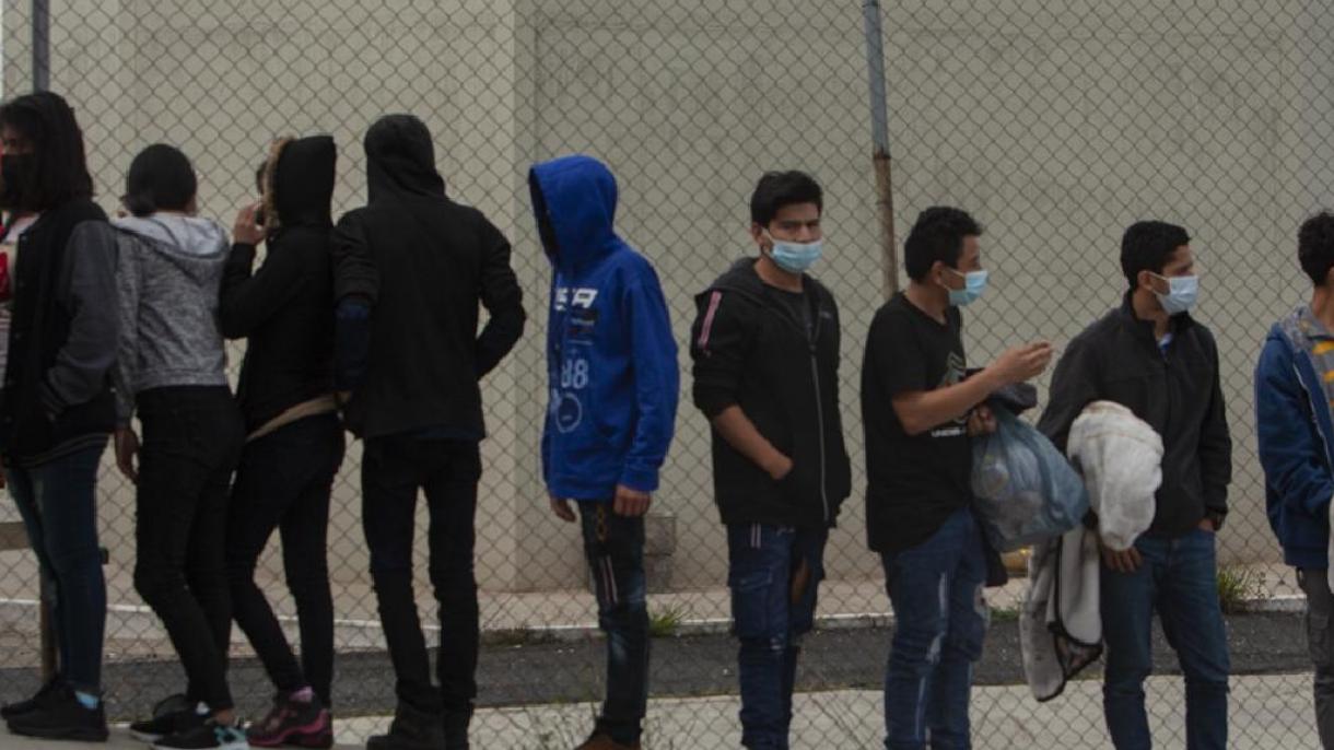 墨西哥抓获310 名非法移民