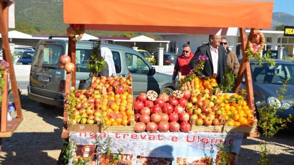 Karadağ_Ulqin_Nar Günleri_02.jpg