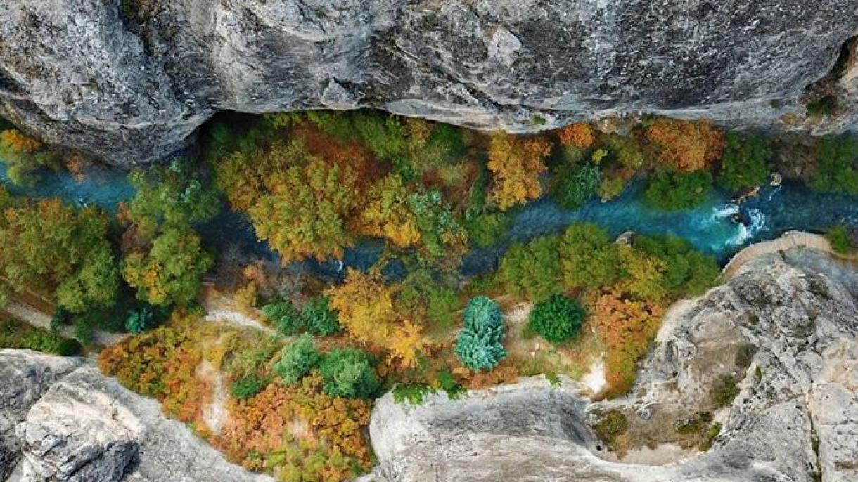 Toxma kan’onı soqlandıra