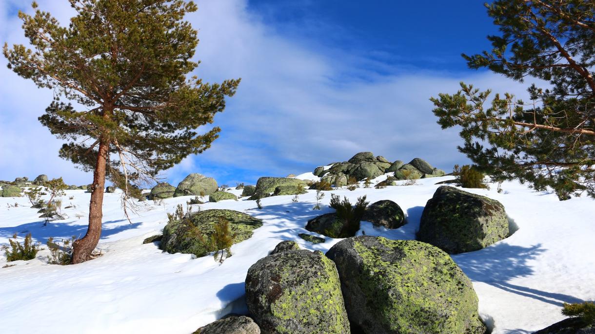 snow-2090754_1920.jpg