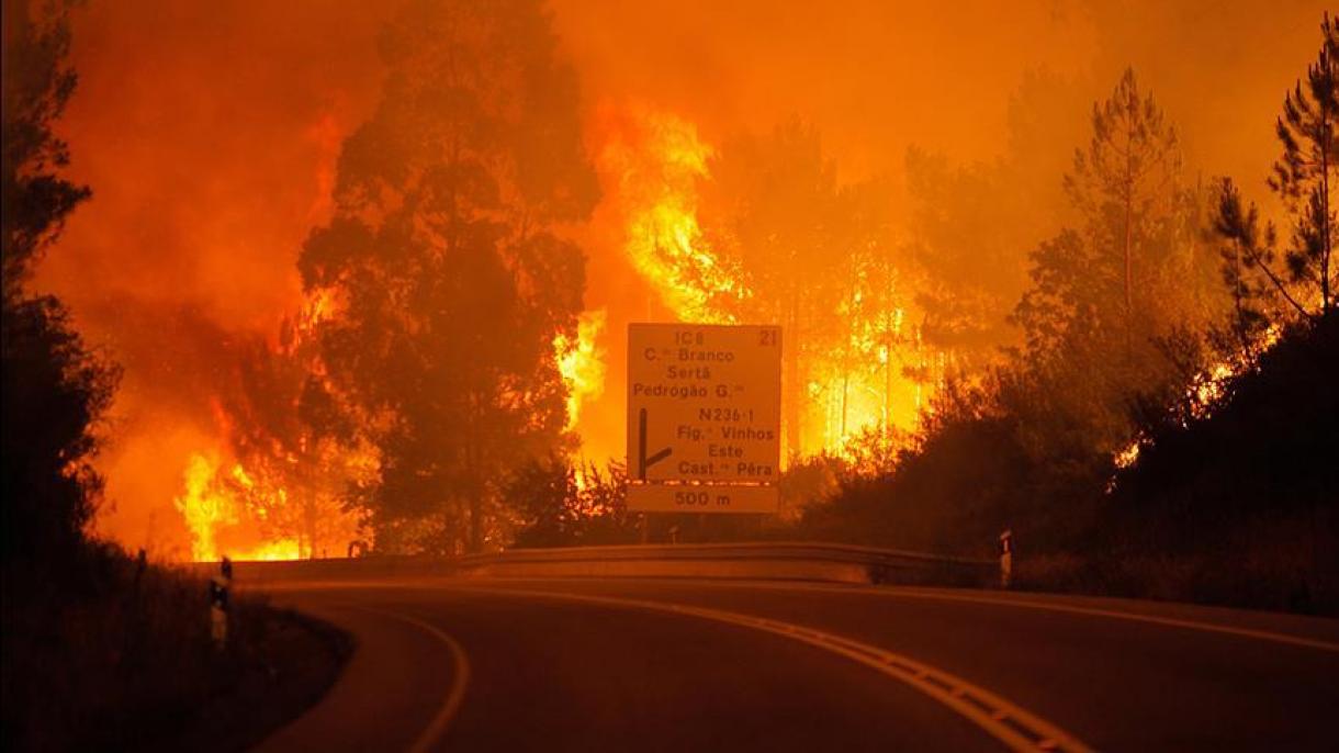 Καταστροφικές δασικές πυρκαγιές στην Πορτογαλία