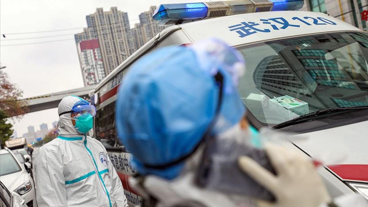 Dunia Resah Disebabkan oleh Coronavirus Jenis Baru, Kematian Akibat Virus Ini Meningkat 105