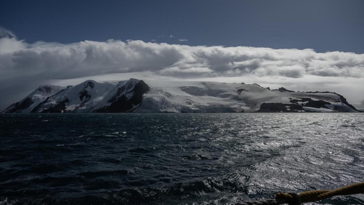 Antarktidada ilk dəfə quş qripi