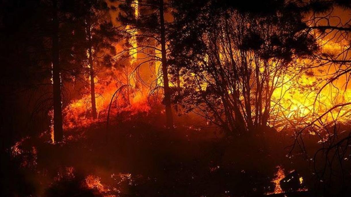 آتش سوزیهای جنگلی در ایالت کالیفرنیا ادامه دارد