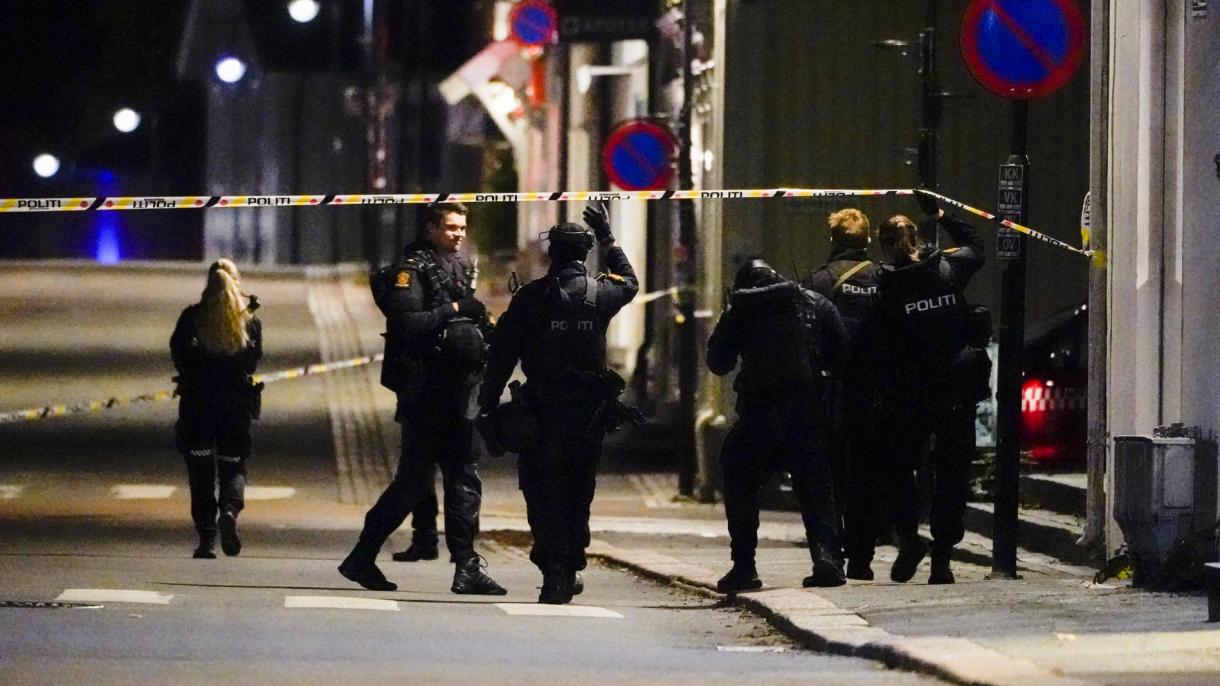 نورۋېگىيەدە مەيدانغا كەلگەن ئوقيا ھۇجۇمىدا بەش ئادەم قازا قىلدى