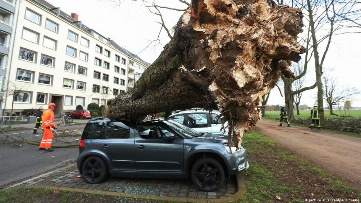 德国和波兰遭暴风雨肆虐:5人死亡