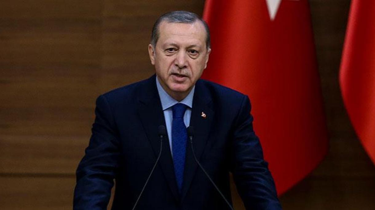 ترکی، قومی اسمبلی کی قائمقام اسپیکر کیساتھ جرمن حکام کی بد سلوکی کا جواب دے گا :صدر ایردوان