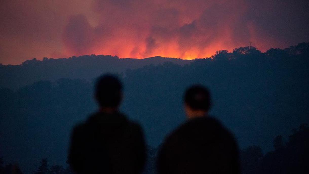 هزاران شهروند نیوزیلند بر اثر آتش‌سوزی آواره شدند