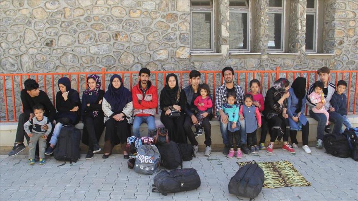 19 مهاجر غیرقانونی در استان وان ترکیه دستگیر شدند