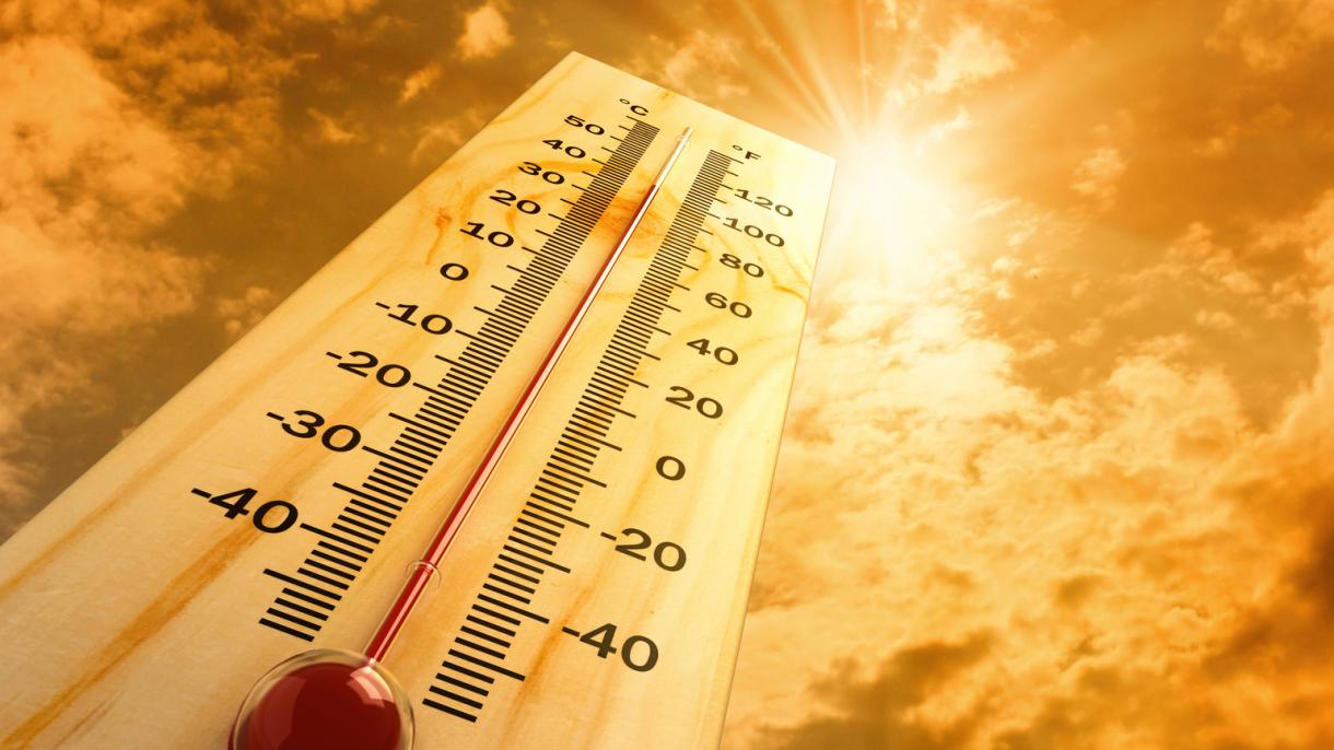 ¿Cómo saber si estamos sufriendo un golpe de calor?