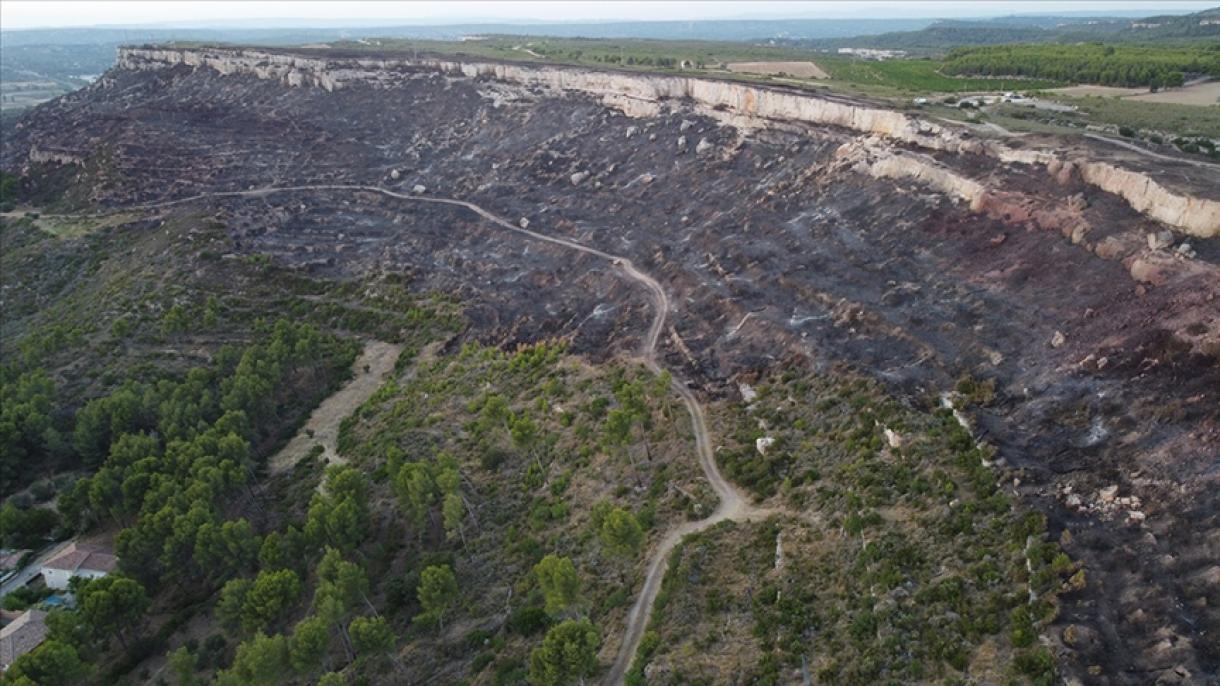 法国发生火灾 500公顷林区被烧